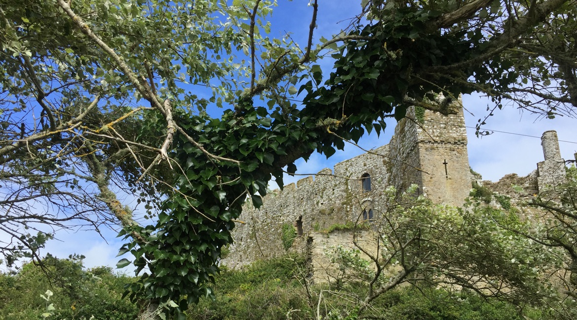 Wales - Marnobier Castle