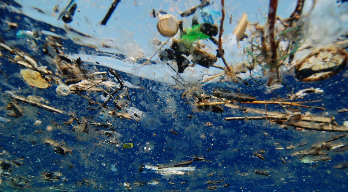 Mikroplastik - Plastic Ocean