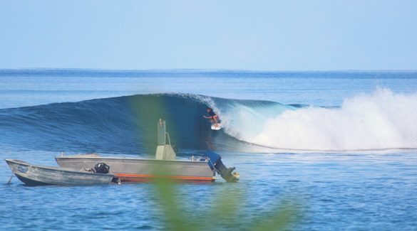 Mentawais surfen