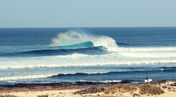 Fuerteventura surfen