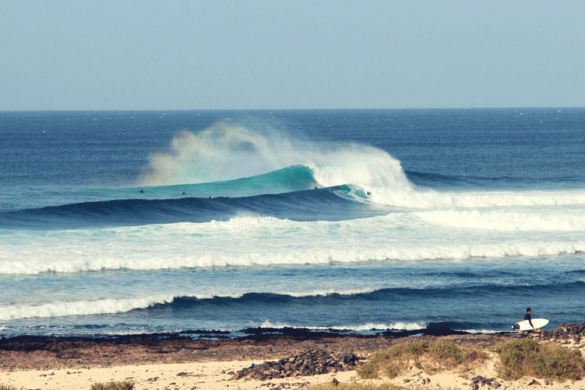 Fuerteventura surfen