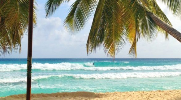 Barbados surfen Barbados surfen (Foto by Barrys Surf School)