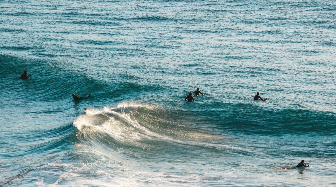 Surfbrett kaufen: Line Up