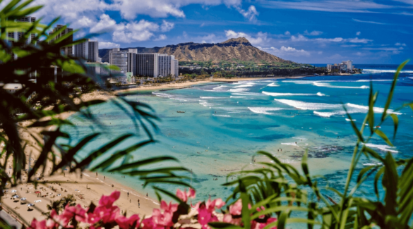 Hawaii surfen - Oahu und Big Island