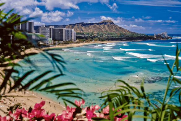 Hawaii surfen - Oahu und Big Island