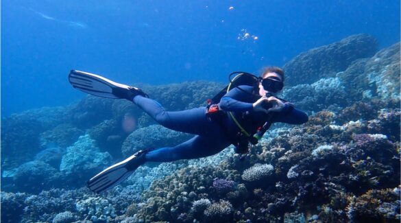 Tauchen - Tauchkurs - Tauchen lernen